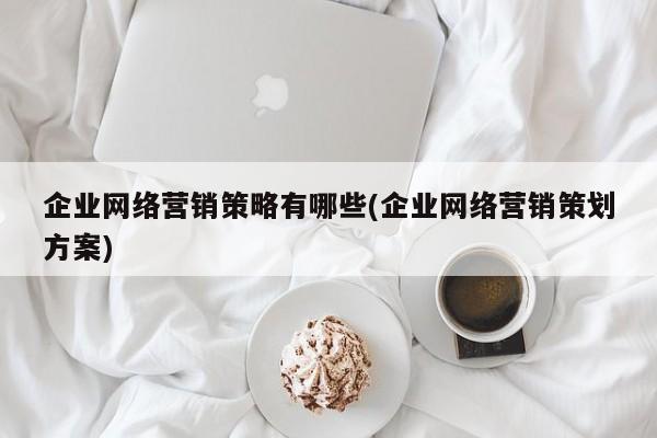 企業(yè)網(wǎng)絡營銷策略有哪些(企業(yè)網(wǎng)絡營銷策劃方案)