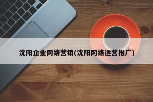 沈陽企業(yè)網(wǎng)絡營銷(沈陽網(wǎng)絡運營推廣)