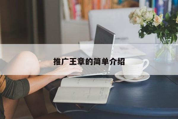 推廣王章的簡(jiǎn)單介紹