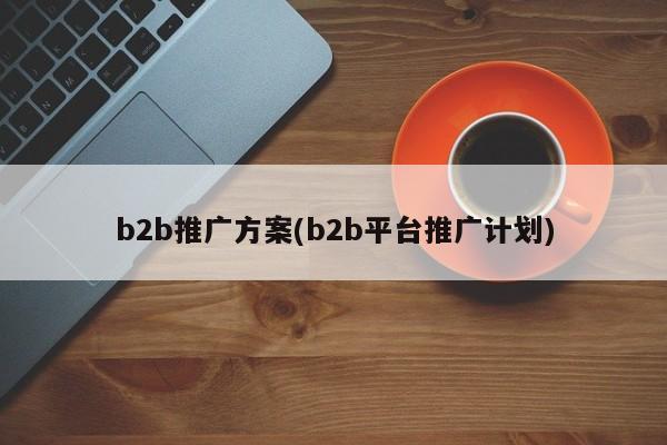 b2b推廣方案(b2b平臺(tái)推廣計(jì)劃)