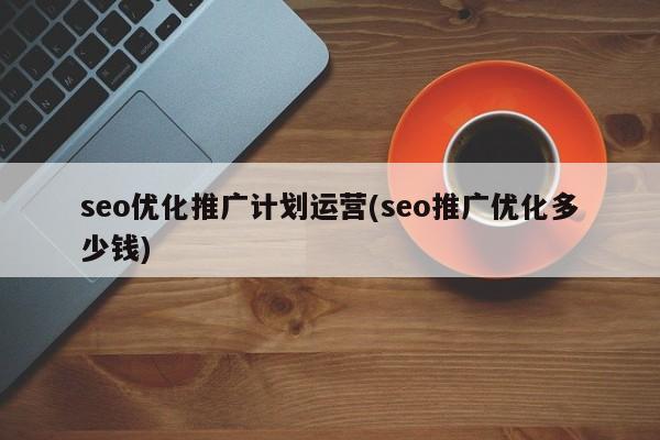 seo優(yōu)化推廣計(jì)劃運(yùn)營(yíng)(seo推廣優(yōu)化多少錢)