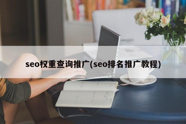 seo權重查詢推廣(seo排名推廣教程)