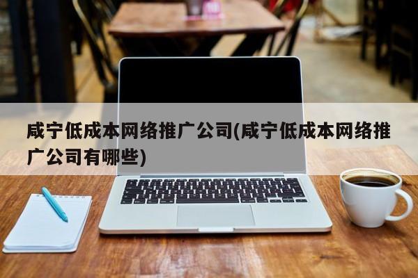 咸寧低成本網(wǎng)絡推廣公司(咸寧低成本網(wǎng)絡推廣公司有哪些)