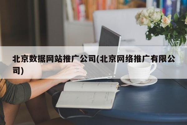 北京數據網站推廣公司(北京網絡推廣有限公司)