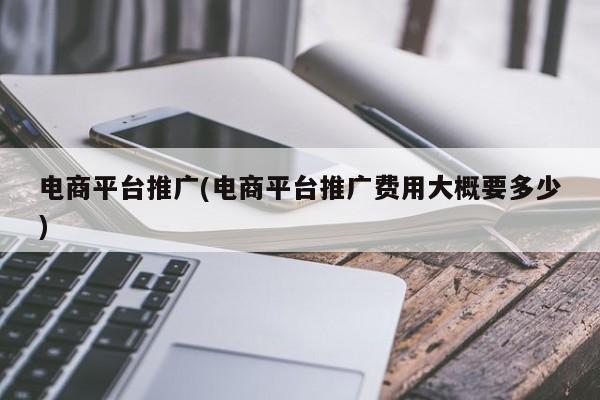 電商平臺(tái)推廣(電商平臺(tái)推廣費(fèi)用大概要多少)