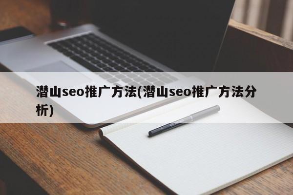 潛山seo推廣方法(潛山seo推廣方法分析)