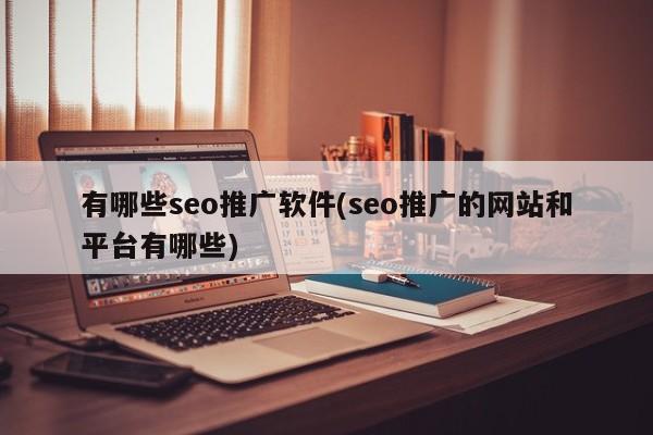 有哪些seo推廣軟件(seo推廣的網站和平臺有哪些)