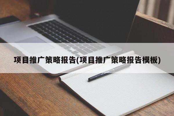 項目推廣策略報告(項目推廣策略報告模板)