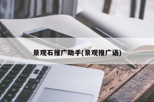 景觀石推廣助手(景觀推廣語)