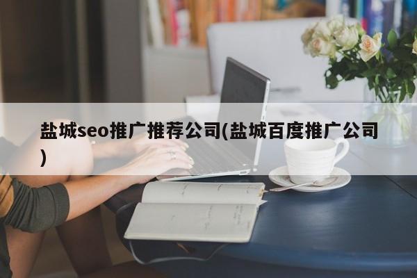 鹽城seo推廣推薦公司(鹽城百度推廣公司)