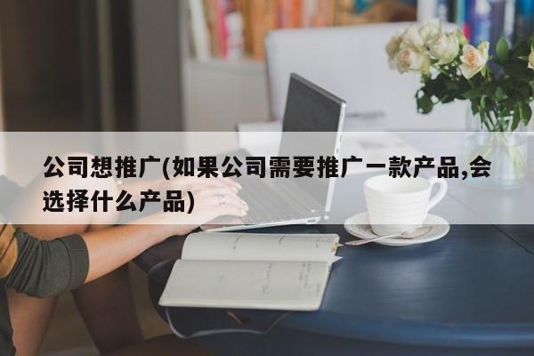 公司想推廣(如果公司需要推廣一款產(chǎn)品,會選擇什么產(chǎn)品)