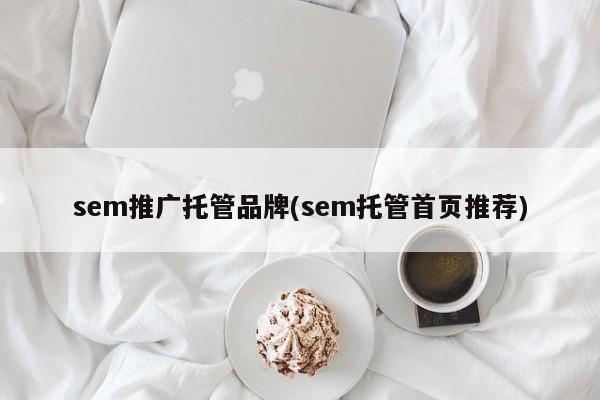 sem推廣托管品牌(sem托管首頁推薦)